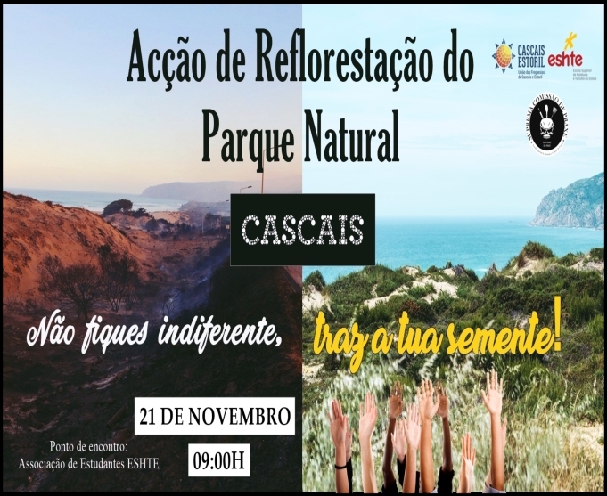 cartaz-reflorestacao-2018-redimensionado