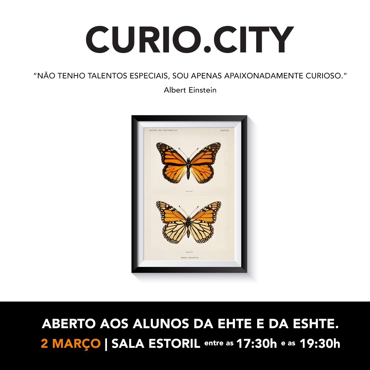curio-city-eshte-ehte